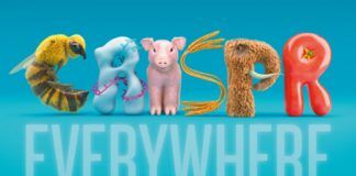 Reescribimos el genoma humano