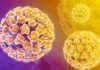 El virus silencioso que combaten las mujeres