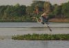 Medio ambiente en Paraguay: mucho que ver y también que cuidar