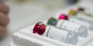 Nobel de Química 2018: la evolución como herramienta biotecnológica nobel de química 2018