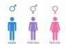 Taxonomía de género: ¿Realmente hay más de dos sexos?