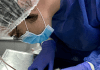 Electroquimioterapia en veterinaria: Aplicaciones en la lucha contra el cáncer en animales