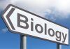 Biología en Paraguay: sin doctorados ni visión común biología en paraguay