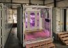 Inteligencia artificial para plantas: de la nutrición a la farmacología