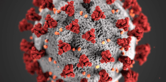 ABC de la pandemia: SARS-CoV-2 y COVID-19