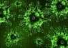 Ciencia del Sur organiza webinario sobre COVID-19 y SARS-CoV-2