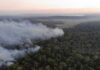 «Es urgente pasar de la reacción a la planificación contra la sequía e incendios de Paraguay»