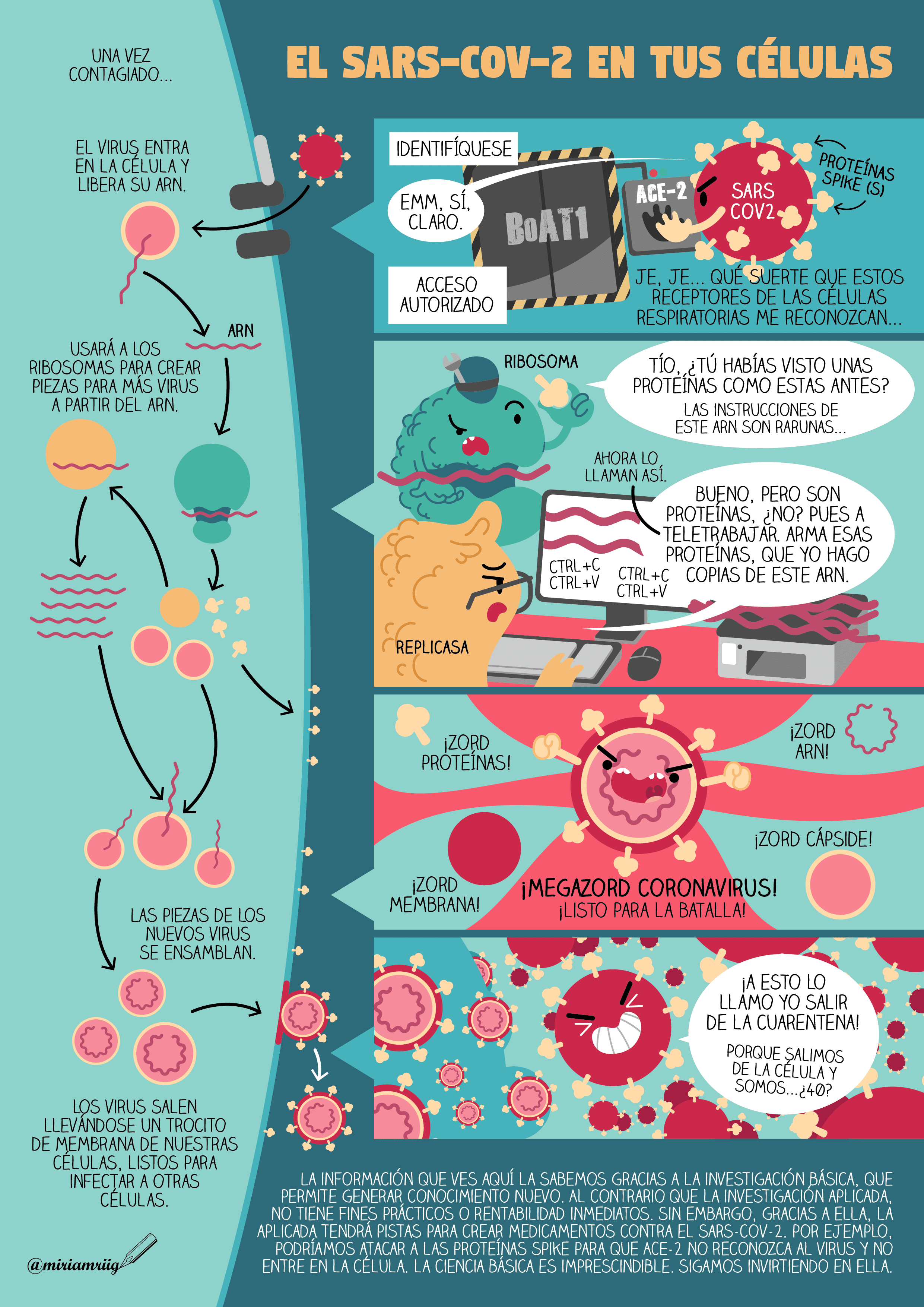 Metáforas visuales: aprenderemos a hacer cómics científicos de la mano de Miriam Rivera