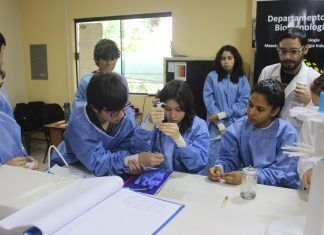 Vacaciones en el laboratorio: adolescentes alteraron ADN de bacterias para hacerlas fluorescentes