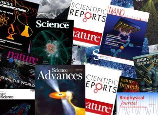 Taller de Verano 2024: ¿Cómo escribir artículos científicos con nuevas herramientas digitales?