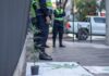 Investigar cannabis en Paraguay: “No tiene sentido que la ley prohíba la ciencia” Una planta de cannabis sobre la calle Palma con policías de fondo durante la Marcha Mundial de la Marihuana en 2024 (Foto: Ale Sosa).