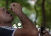Prohibicionismo de cannabis: contra científicos, pacientes y medicinas caseras Una persona tomando aceite de cannabis en Asunción, Paraguay, desafiando el prohibicionismo de cannabis