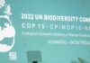 Nuevo acuerdo global por la biodiversidad, ¿otro esfuerzo fallido? Marco Mundial para la Diversidad Biológica de Kunming-Montreal