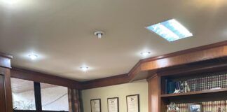 Con curiosidad, humildad y escepticismo, IPI genera ciencia de talla mundial desde Paraguay Ariel Insaurralde y Antonio Cubilla