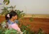 Habitar en medio de los agroquímicos en el Paraguay Una mujer con una niña en medio de una plantación en el interior del Paraguay