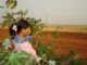 Habitar en medio de los agroquímicos en el Paraguay Una mujer con una niña en medio de una plantación en el interior del Paraguay