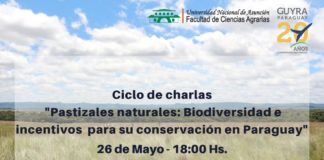 Charla sobre pastizales naturales, ecosistema amenazado en Paraguay pastizales