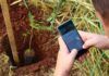 PTI quiere reforestar el país mediante una red social reforestación en Paraguay