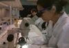 Conacyt, SCP y Unibe celebran mes del investigador paraguayo mes del investigador paraguayo