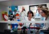 Medición de la productividad de la ciencia paraguaya en debate productividad de la ciencia paraguaya