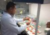 «Paraguay debe utilizar la biotecnología para resolver problemas cotidianos» paraguay biotecnología