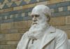 15 joyas evolutivas que dan la razón a Darwin evidencias teoría de la evolución