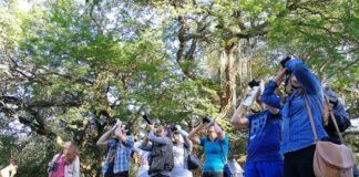 «Las aves deben estar libres, no en las jaulas-cárceles de las casas»