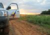 Ciencia y conservación: 20 años de Guyra Paraguay gurya paraguay 20 años