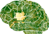 ¿Es la mente una computadora digital? es la mente una computadora