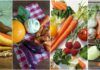 ¿Son saludables las dietas vegetarianas y veganas? dietas vegetarianas