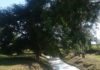 SEAM interviene fábrica de pinturas por posible contaminación en arroyo de Luque arroyo de luque contaminado