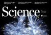 “Un error frecuente al redactar un artículo científico es perder el enfoque” error articulo cientifico