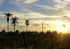 Paraguay y su largo verano, ¿por qué es importante la meteorología? paraguay metereología