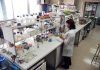 ¿Por qué crear Oficinas de Transferencia Tecnológica en las universidades? oficina de transferencia tecnológica