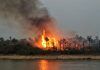 Pantanal: santuario ecológico amenazado por las llamas pantanal paraguayo fotos