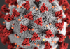 ABC de la pandemia: SARS-CoV-2 y COVID-19