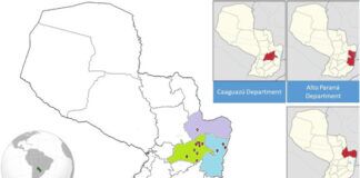 Publican pionera investigación que estandariza detección molecular de malaria en Paraguay
