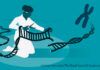 Nobel de Química 2020: CRISPR, un origen humilde y un ascenso vertiginoso