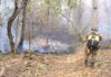 «La crisis ambiental nos obliga a replantear nuestra capacidad de respuesta en Paraguay»