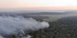 «Es urgente pasar de la reacción a la planificación contra la sequía e incendios de Paraguay»