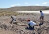 «Paraguay tiene potencial paleontológico para encontrar animales prehistóricos»