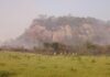 24 mil ha de tierras malhabidas rodean la deteriorada reserva San Rafael Incendios en la reserva San Rafael en 2022. tierras malhabidas san rafael