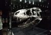 5 museos de ciencia de Europa que tenés que conocer sí o sí
