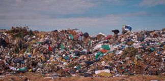 Descartados: por qué Asunción fracasó en incluir a trabajadores de la basura Foto de dos gancheros en Cateura, Asunción. Foto de Nicolás Granada