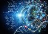 Nobel de Química 2024: diseño y predicción de estructuras de proteínas con IA Nobel de Química 2024: imagen conceptual sobre diseño de proteínas con inteligencia artificial