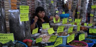 Medicina tradicional: ¿charlatanería o ciencia? Hierbas de medicina tradicional
