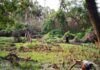 Un Paraguay plural exige transformar la relación con los pueblos indígenas Se requiere una transformación profunda en la manera en que el Estado, la sociedad y la academia se vinculan con los pueblos indígenas en Paraguay.