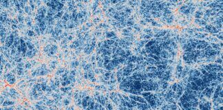 Visualizando el esqueleto universal: evidencia directa de la red cósmica Imagen de una gran región del universo predicha por simulaciones basadas en el modelo cosmológico actual y realizadas con supercomputadoras. En blanco el tenue resplandor del gas presente en los filamentos cósmicos. En la intersección de estos filamentos, en rojo se encuentra el gas dentro de las galaxias, que da origen a nuevas estrellas (Foto: Alejandro Benítez-Llambay/Universidad de Milán-Bicocca).