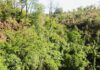 Áreas protegidas, más que biodiversidad: patrimonio vivo de pueblos y saberes áreas protegidas de paraguay son más que biodiversidad