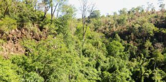 Áreas protegidas, más que biodiversidad: patrimonio vivo de pueblos y saberes áreas protegidas de paraguay son más que biodiversidad